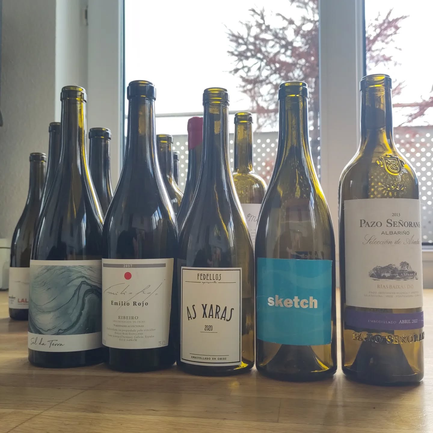Galician reds and whites on limit. #galicia #winestudy #wine...