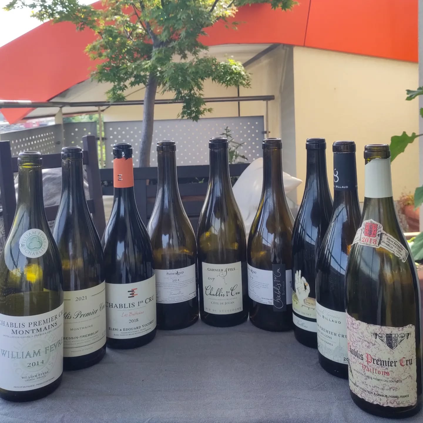 Chablis Study, Left Bank Premier Cru. 1. Flight: Montmaints,...