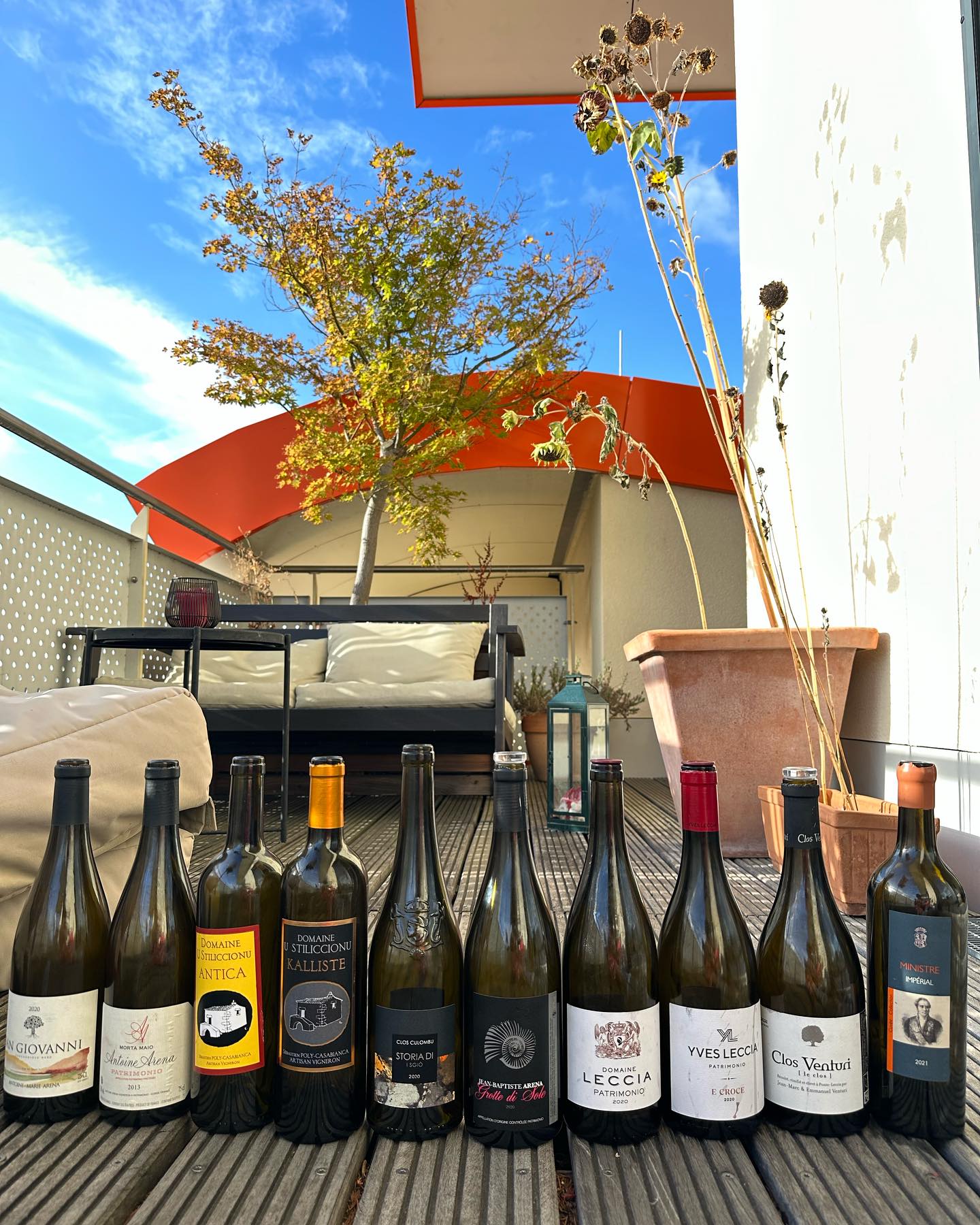 Finding good reds for the Corsica tasting - It‘s a walk in t...