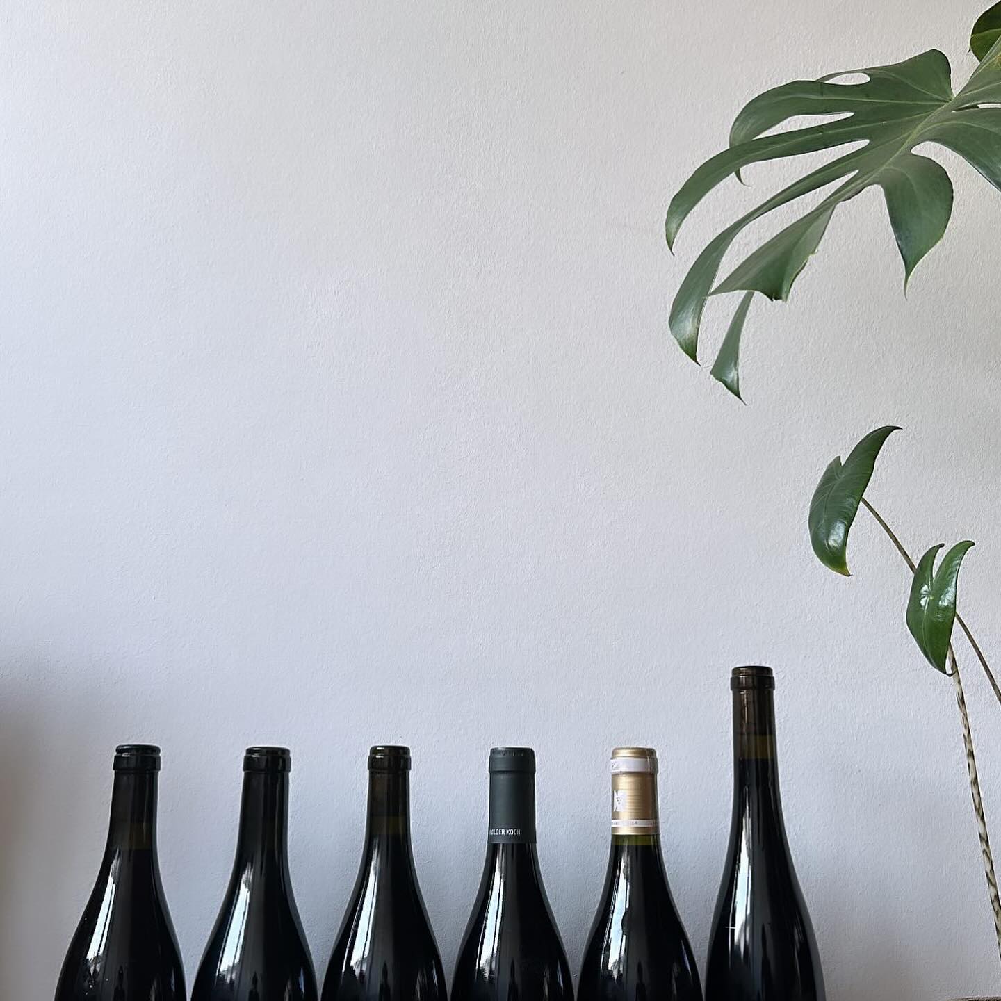 Another bottle for the German Pinot/Spätburgunder Tasting in...