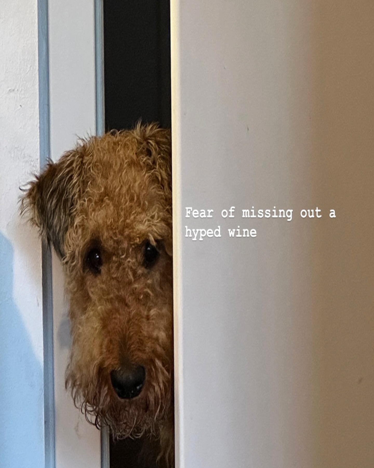 Monday talk. This is you. But also very me.