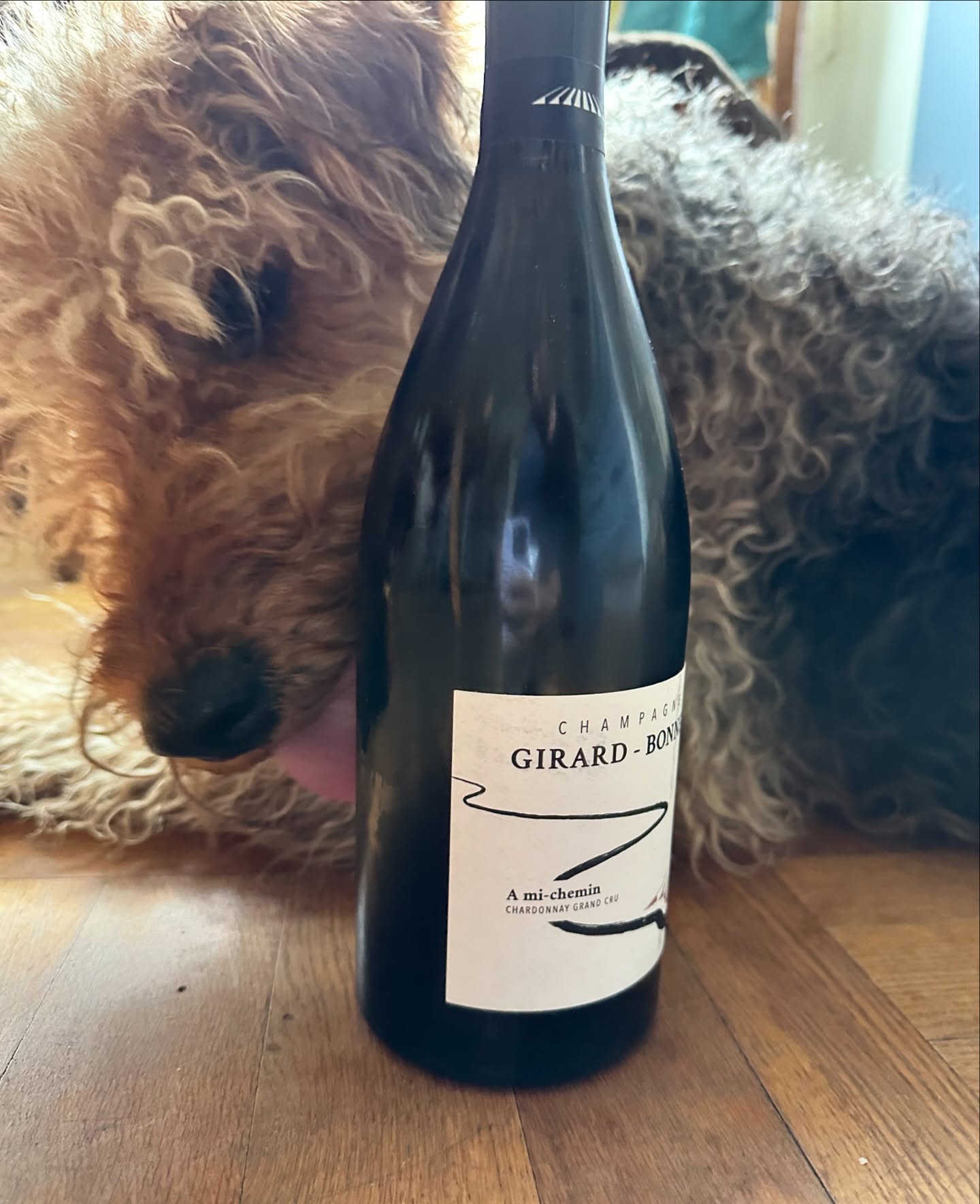 Drinking, eating, wearing colorful 🪅 Friday: Ribbe Rose, Cl...