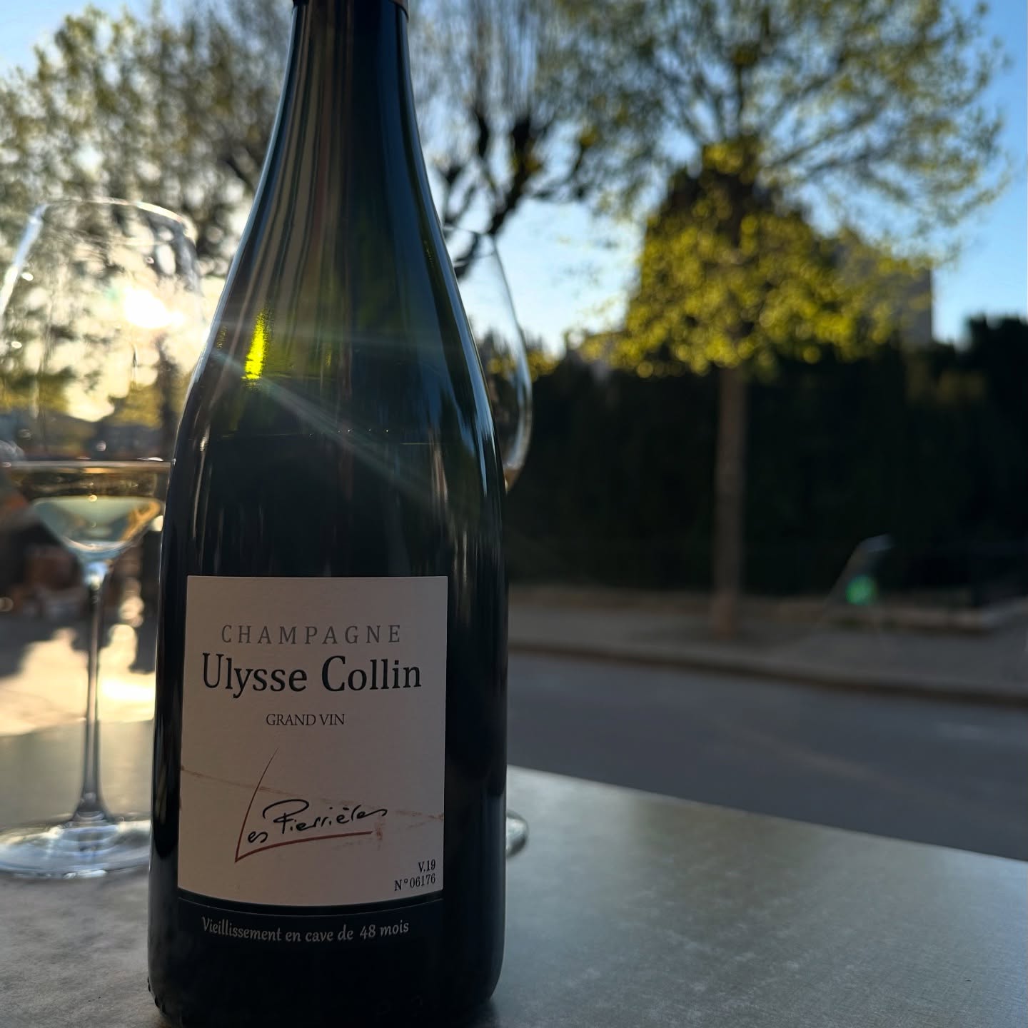 High and Low - Getting into Blanc de Blancs in Reims #champa...
