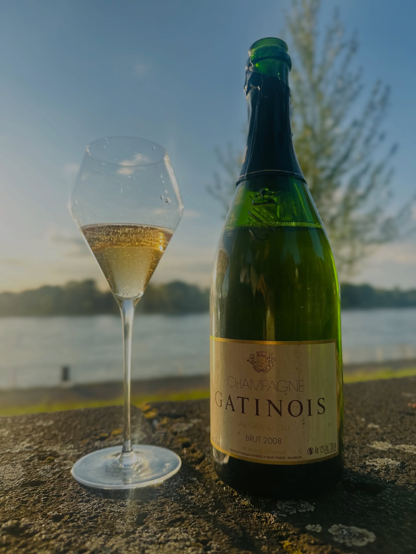 I keep going back to Gatinois bottles from Äy, especailly af...